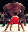 Funny pictures: Sumo wrestling