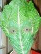 Funny pictures: The Lettuce Dork