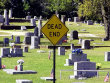 Funny pictures: Dead End