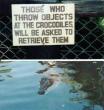 Funny pictures: Do Not Disturb Crocodiles