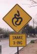 Funny pictures : Snake Crossing