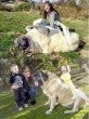 Funny pictures: Huge Dog