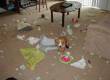 Funny pictures: Dog Makes a Mess