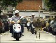 Ostrich in Traffic