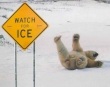 Funny pictures: Watch for Ice