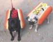 Two Hot Dogs