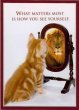 Funny pictures : How do you see yourself