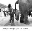 Funny pictures: Nasty job