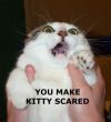 Scared Kitty