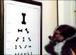 Funny pictures: Dogs eye test