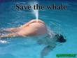 Funny pictures : Save the Whale.jpg