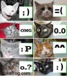 Funny pictures: internet cats.jpg