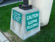 Funny pictures : Sleeping Policeman