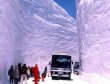 Snowy Roadway