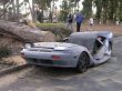 Funny pictures : Tree Crushes Car