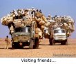 Funny pictures: Visiting friends