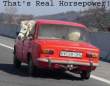 Funny pictures : realhorsepower.jpg