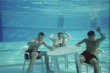 Funny pictures : Just Chillen underwater