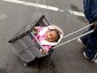 Funny pictures: Crate Stroller