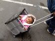 Funny pictures : Crate Stroller