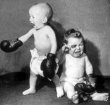Funny pictures : Baby Boxing