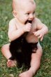 Funny pictures: Kitten Trea