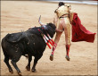 Funny pictures : Bad Bull Fighter