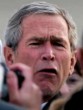 Funny pictures: Another Bush Face