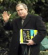 Bush For Dummies