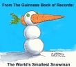World's smallest snowman