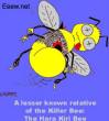 Funny pictures: Hara kiri bee