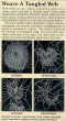 Funny pictures : Spiders on drugs