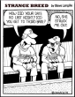 Funny pictures : Struck out