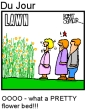 Funny pictures: Lawn