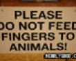 Funny pics mix: Feeding fingers to animals