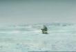 Funny fishing trip...