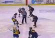 Crazy hockey brawl