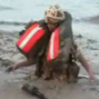 Funny videos : Marines landing video