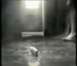 Don't drop the soap