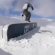 Snowboarder shaun whites