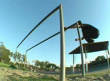 Skate rail nut crunch
