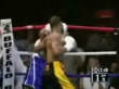 Boxing quick knock out