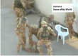 British troops beat up iraqis