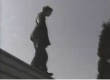 Funny videos : Roof jump tree grab
