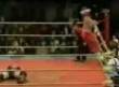 Funny videos : Bad wrestler hurts himself