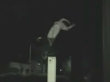 Flip out