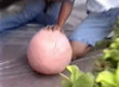 Funny videos : 50 pounds of silly putty
