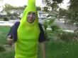 Stupid videos : Fat guy in banana suit catches on fire