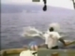 Funny videos : Sea fishing