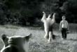 Funny videos : Lassie, but karate style